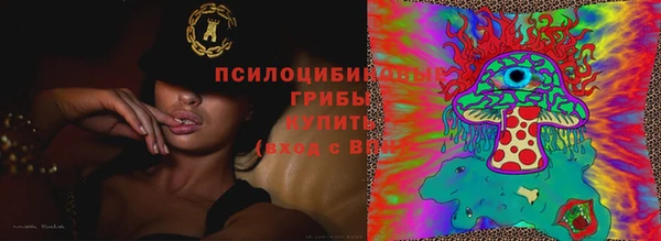a pvp Богородск
