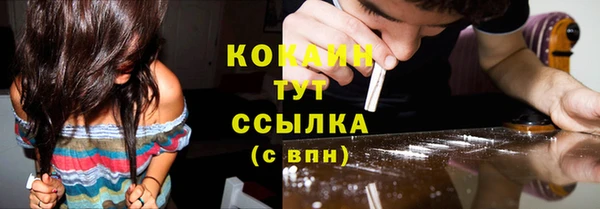дживик Богданович