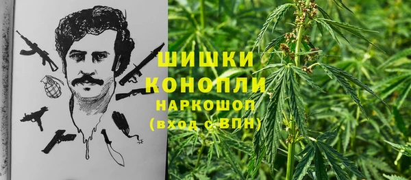 дживик Богданович