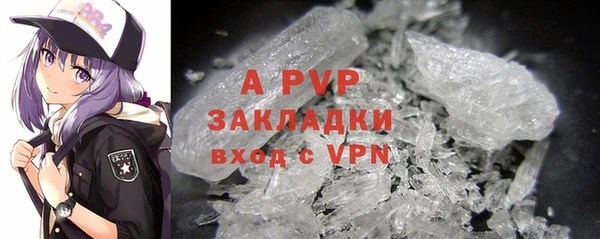 дживик Богданович