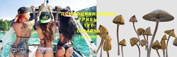дживик Богданович
